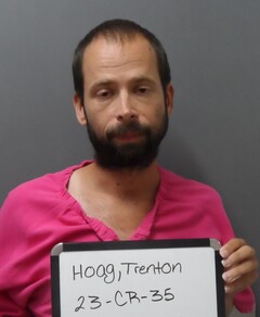 Mugshot of HOAG, TRENTON SCOTT 